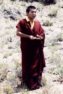 HE Jamgon Kongtrul Rinpoche