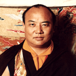HH The XVI Karmapa